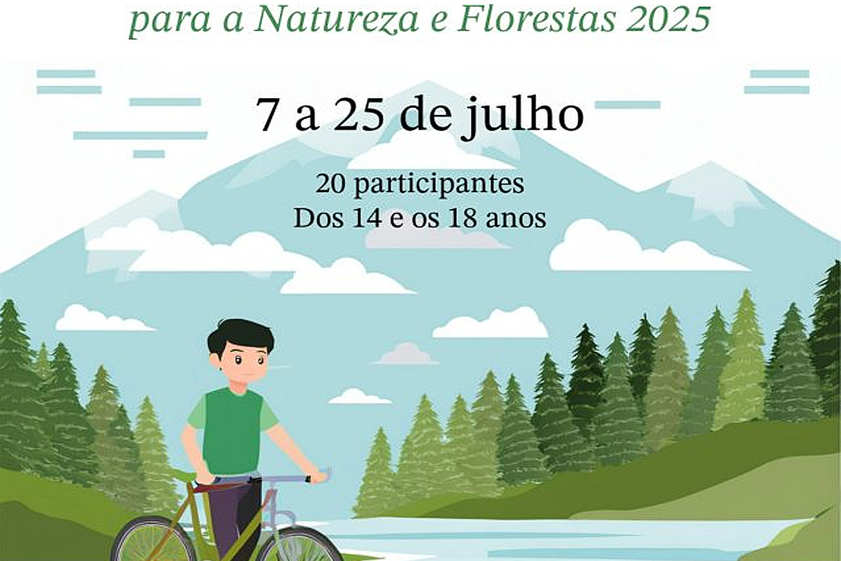 Seia vai receber voluntários jovens para a preservação da natureza e florestas